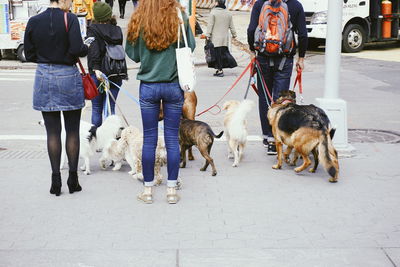 Rear view of people walking on road