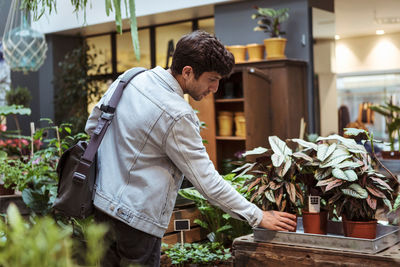 Young male customer looking at potted plants in store