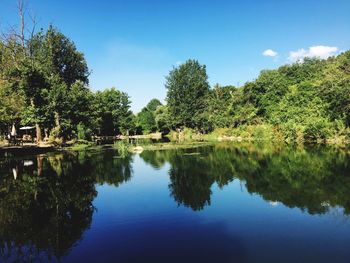 Scenic view of lake by trees against blue sky