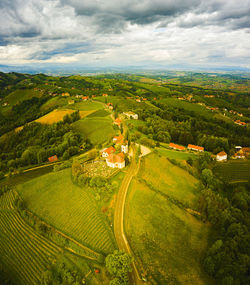 Aerial panorama of of green hills and vineyards with mountains. austria vineyards landscape.