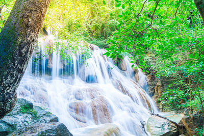 Scenic view of waterfall in forest