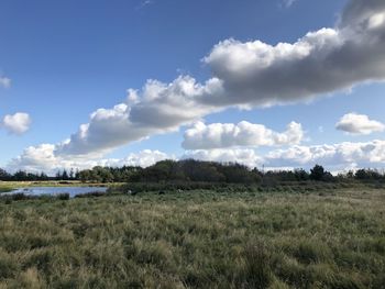 Scenic view of field against sky