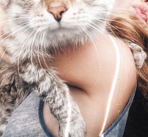 Close-up portrait of cat relaxing on man