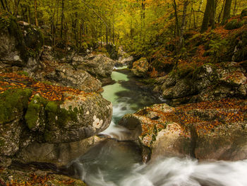 Stream flowing through rocks in forest