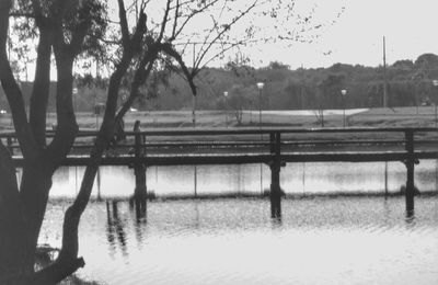Empty bench by lake in park during rainy season