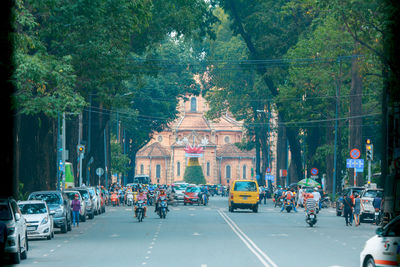 Vehicles on road along trees