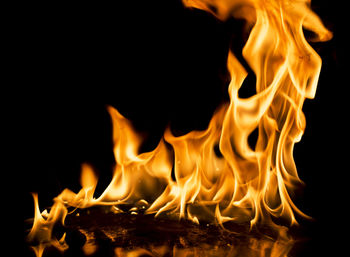 Close-up of bonfire at night