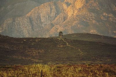 Scenic view of landscape