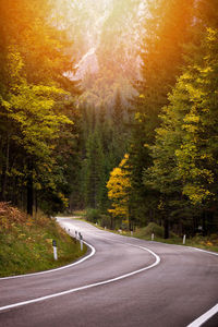 Road amidst trees in forest