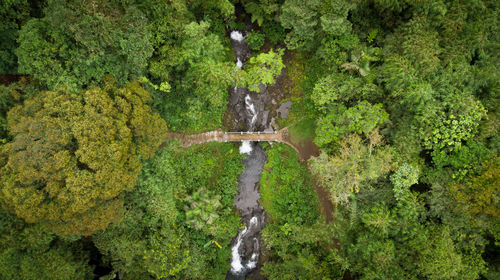 View of cross in cemetery