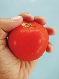 Close-up of hand holding apple