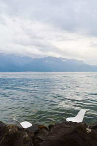 Swan on lake against sky