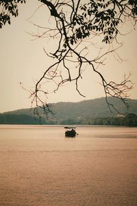 Scenic view of tree against sky