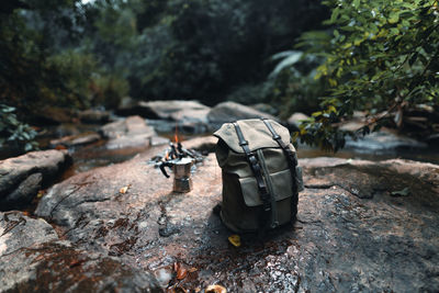 Close-up of toy on rock