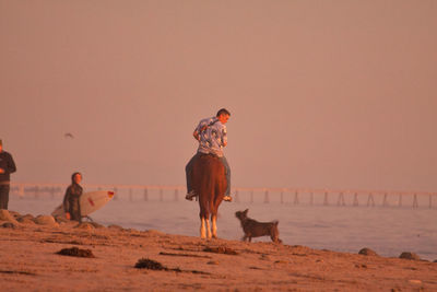 Men riding horse on shore against sky during sunset