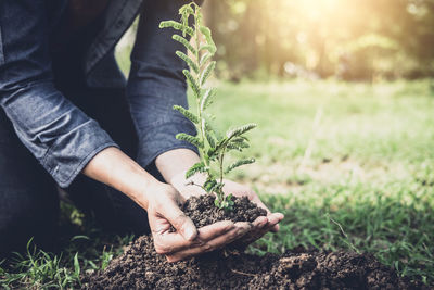 Midsection of person planting plant in yard