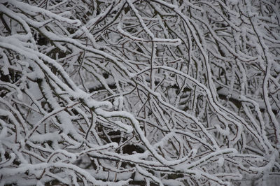 Full frame shot of snow