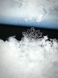 View of frozen river