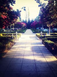 Footpath in park