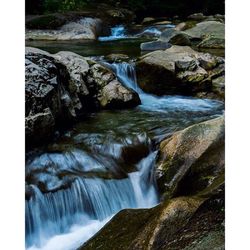 Stream flowing through rocks in forest