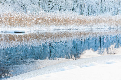 Full frame shot of snow covered field