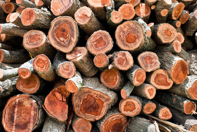 Full frame shot of stacked logs