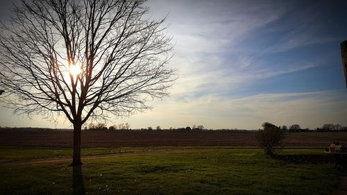 Scenic view of grassy field against sky at sunset