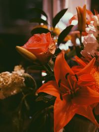 Close-up of flowers blooming outdoors