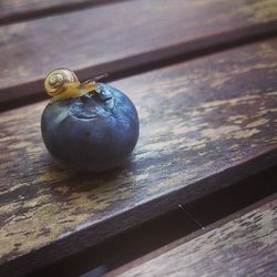 Close-up of wooden plank