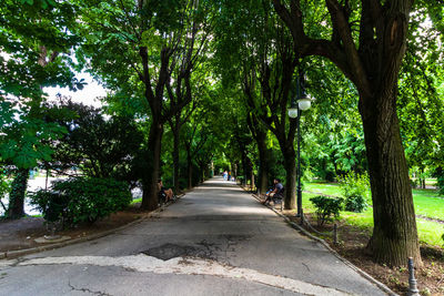 Empty road along trees in park