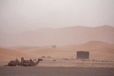 View of desert landscape