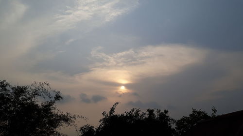 Low angle view of silhouette trees against sky