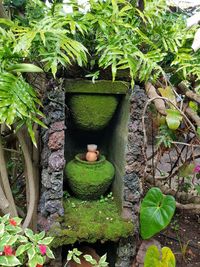 Statue of potted plants in yard