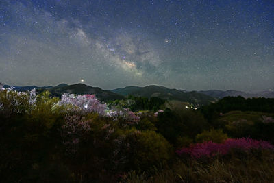 Scenic view of sky at night