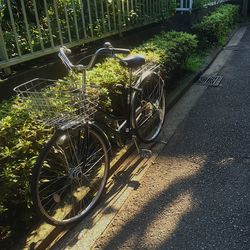 Bicycle parked by tree