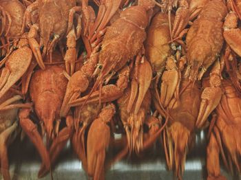 Close-up of lobsters at market