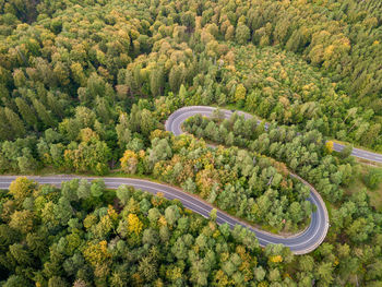 High angle view of road amidst trees in forest