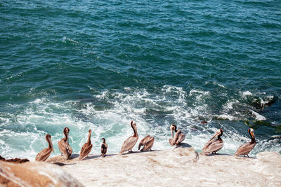 High angle view of people on beach