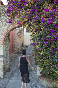 Rear view of person walking on alley amidst buildings