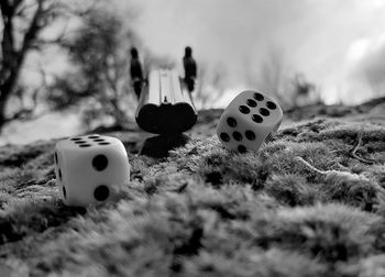 Close-up of stones on field