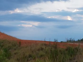 Scenic view of grassy field against sky