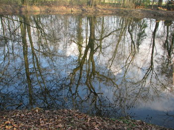 Reflection of trees in lake against sky