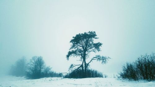 Scenic view of snow covered field against clear sky