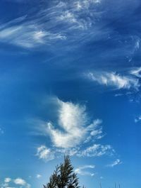 Low angle view of trees against blue sky