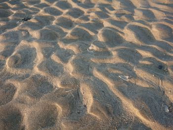 High angle view of footprints on sand