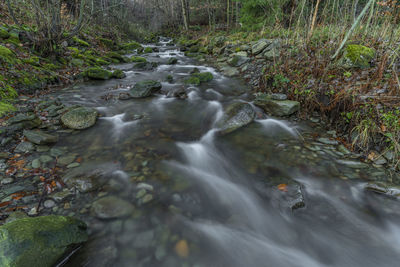 Stream flowing through rocks in forest