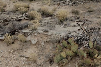 Full frame shot of sand