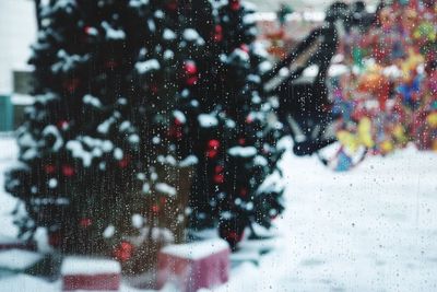 Christmas tree on snow covered field seen through wet glass