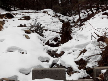 Scenic view of snow covered landscape