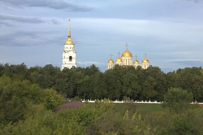 Trees and buildings against sky